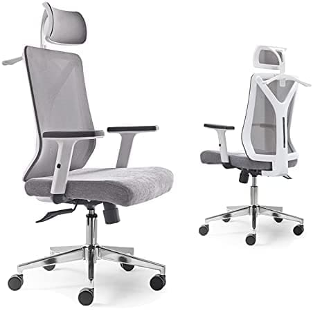 Molblly Ergonomic Office Chair
