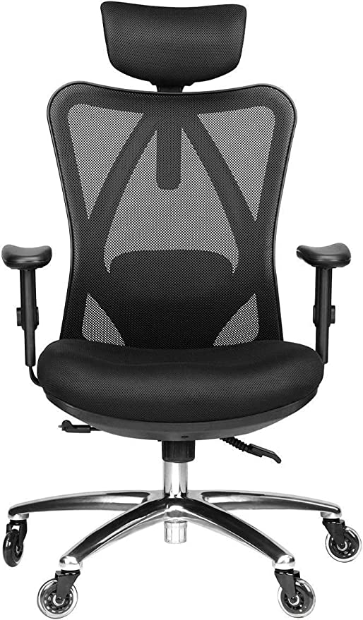 Chair - Adjustable Desk Chair with Lumbar Support and Rollerblade Wheels